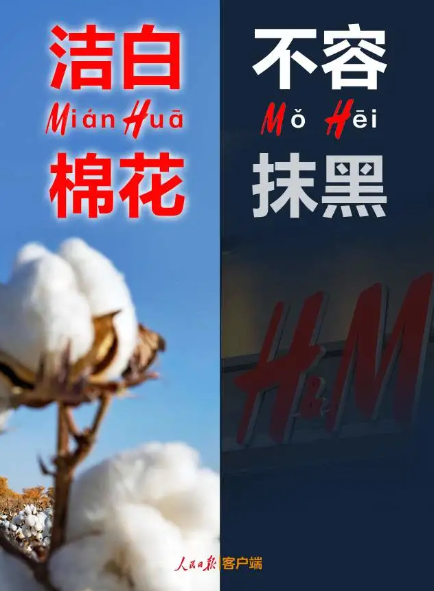 潔白棉花，不容抹黑，花榮華與華一起